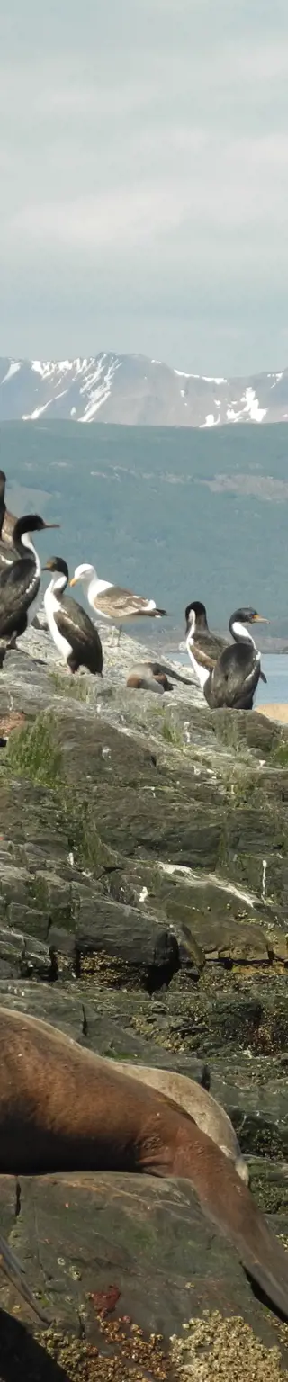 Bootstour auf dem Beagle-Kanal